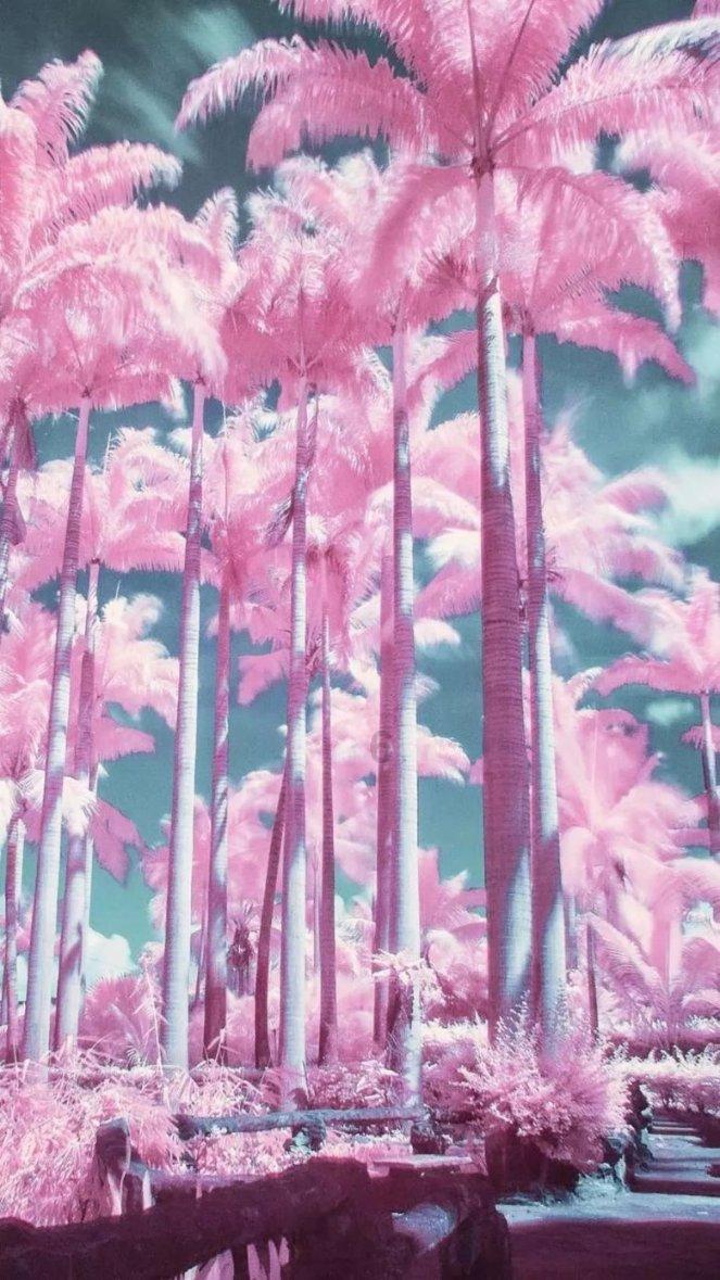 银河文明3